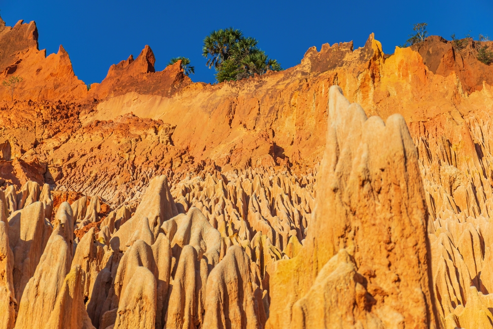 Madagascar dagli Tsingy al mare - 27 Luglio e 20 Agosto