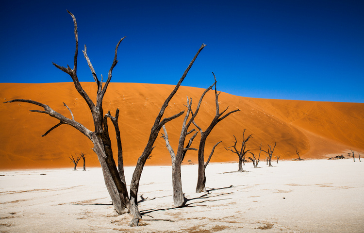 Namibia Smart - Luglio e Agosto