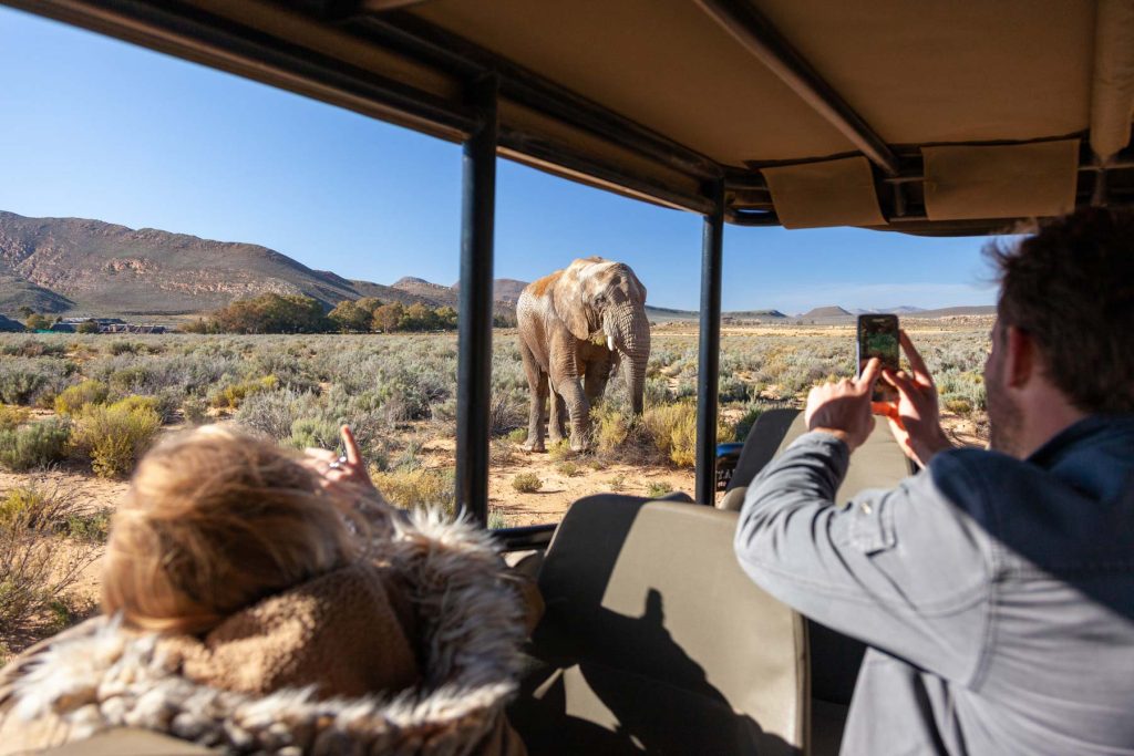 Sudafrica Malaria Free -  Aquila Reserve 2027